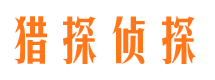 大安商务调查